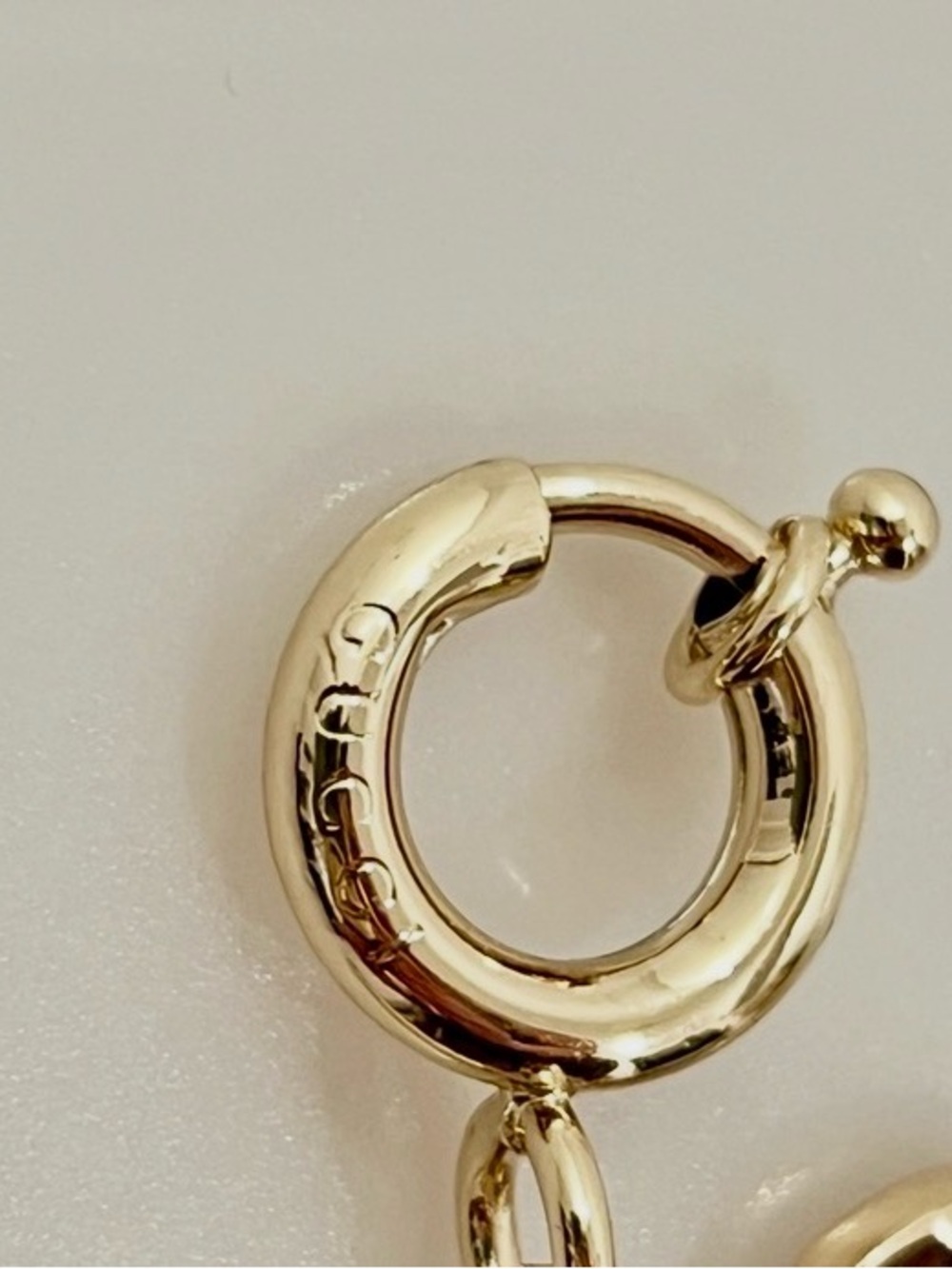 Gucci Dog Enamel bag charm from the pre-fall collection 2025 NWOT - Picture 4 of 7